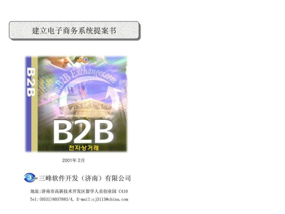 4A策划b2b标准提案书