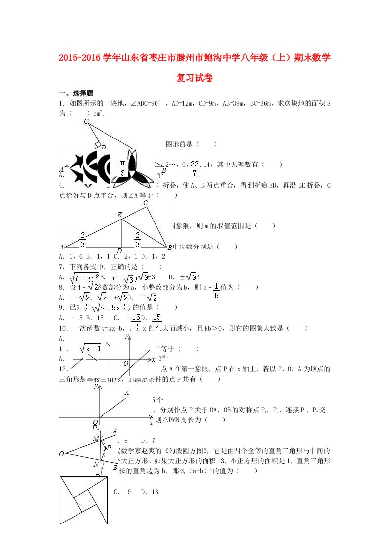 八年级数学上学期期末复习试卷（含解析）