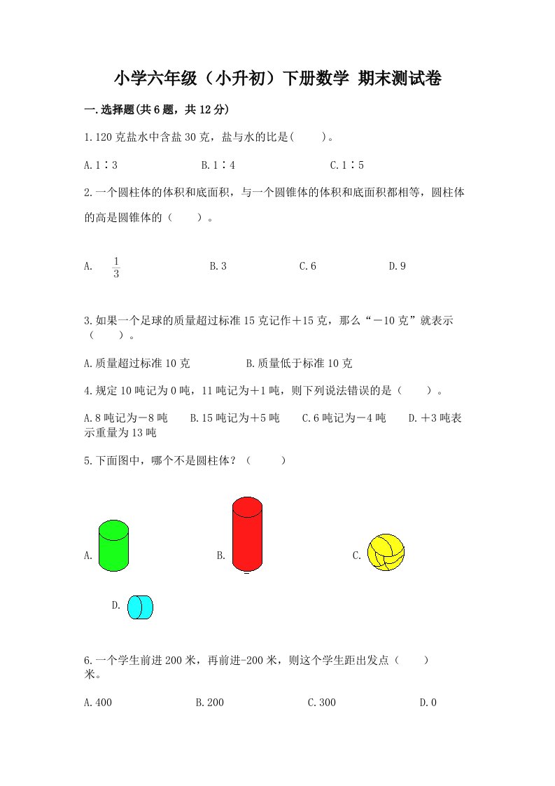 小学六年级（小升初）下册数学