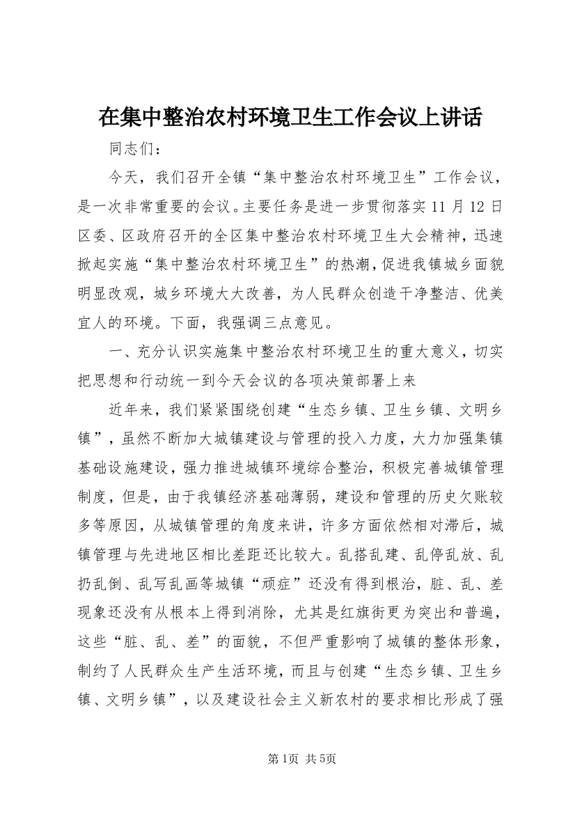 在集中整治农村环境卫生工作会议上讲话