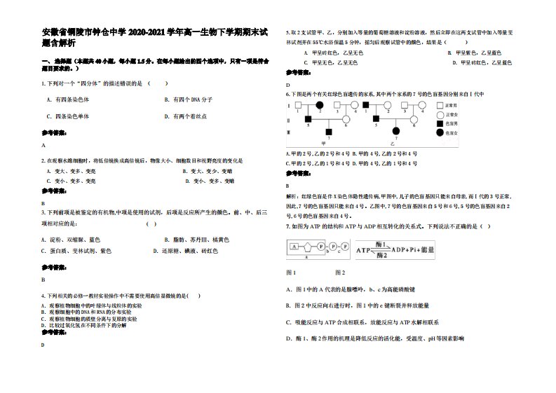 安徽省铜陵市钟仓中学2020-2021学年高一生物下学期期末试题含解析