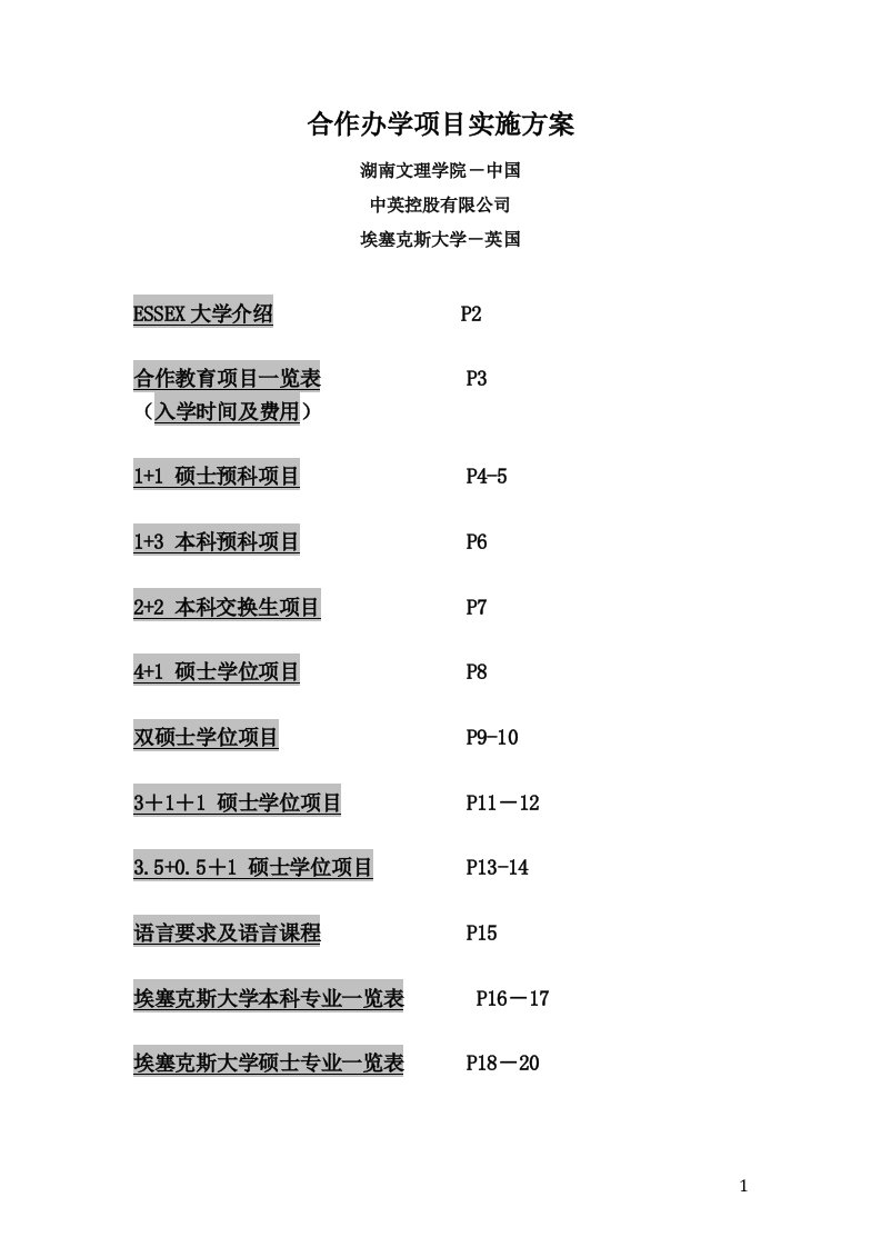 合作办学项目实施方案