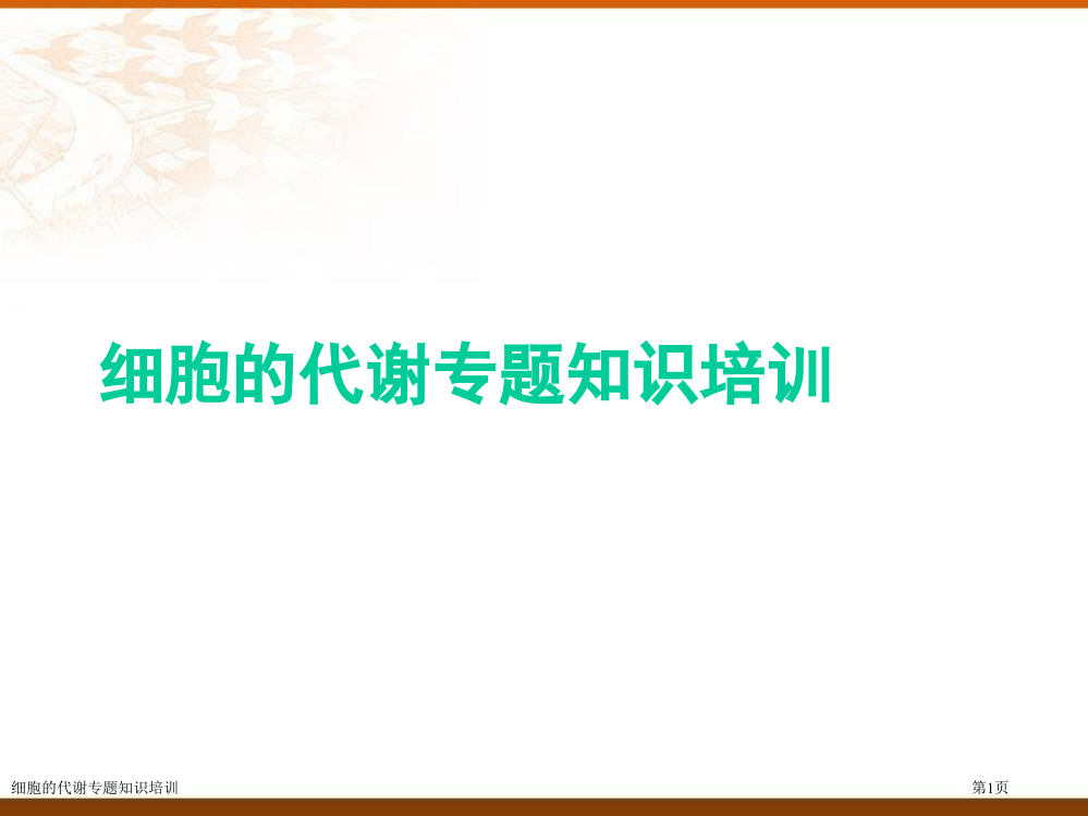 细胞的代谢专题知识培训