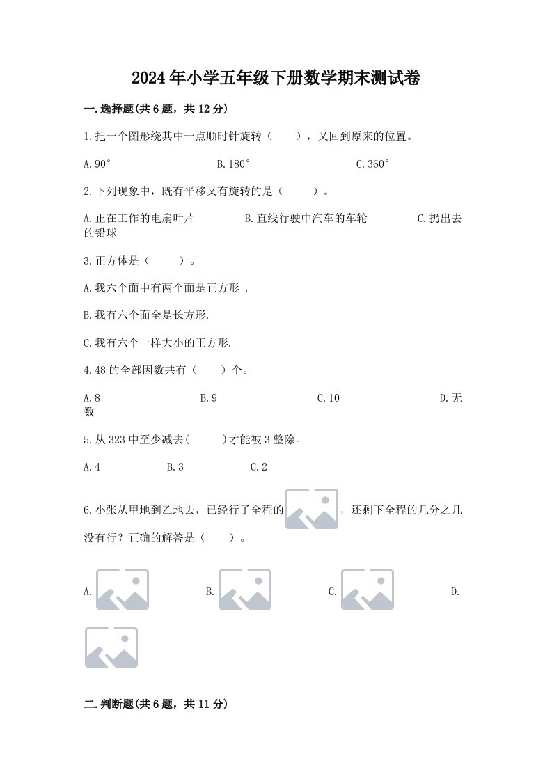 2024年小学五年级下册数学期末测试卷精品【典优】