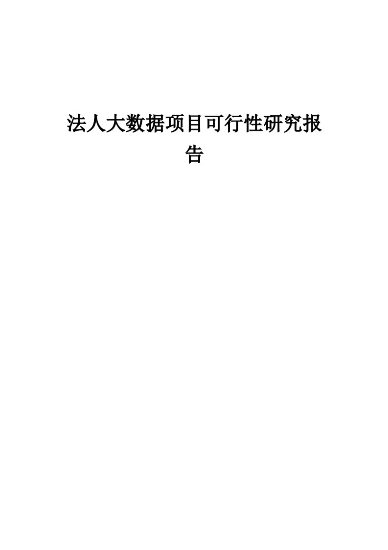 2024年法人大数据项目可行性研究报告