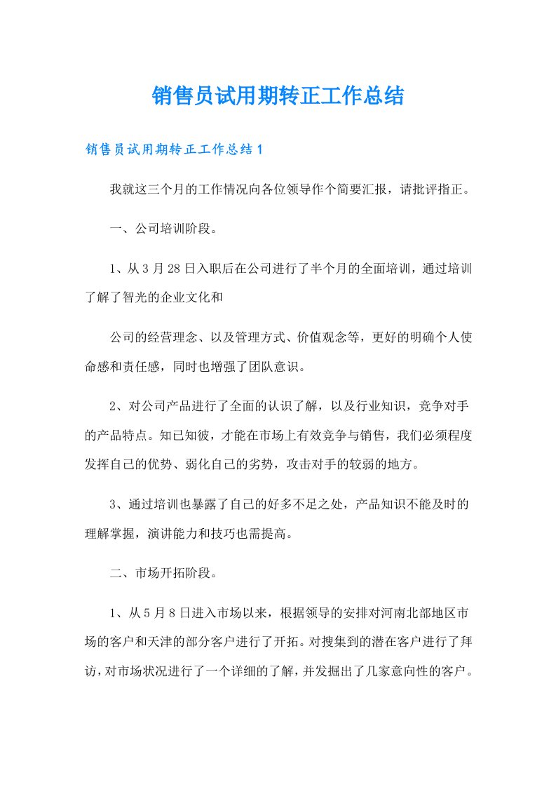 销售员试用期转正工作总结