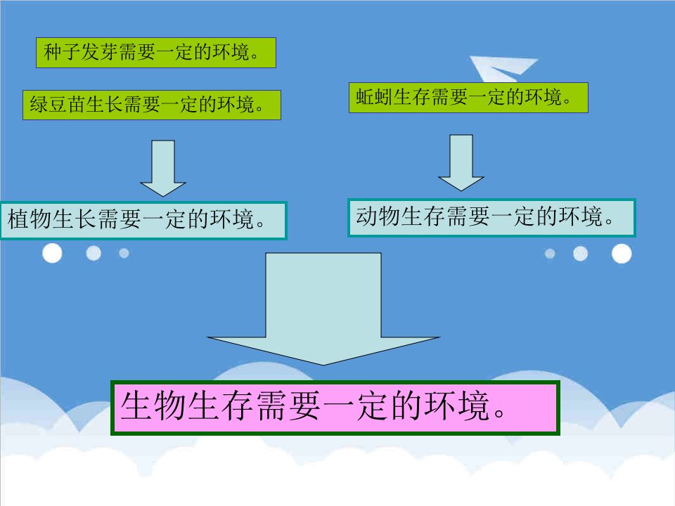 食物链和食物网