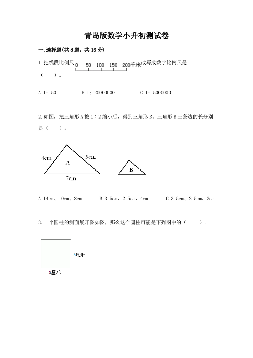 青岛版数学小升初测试卷精品（巩固）