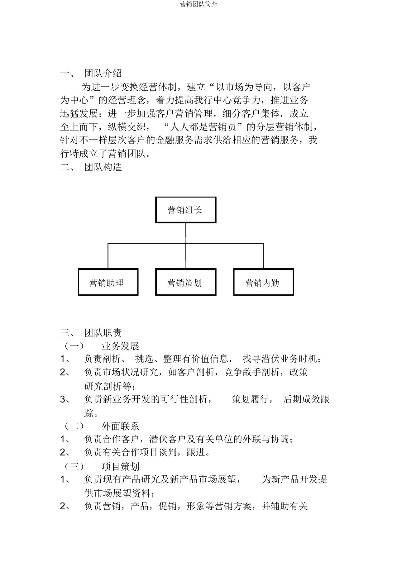 营销团队简介