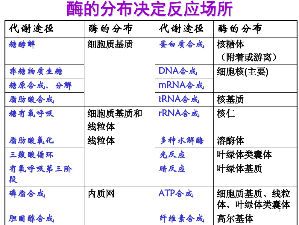 酶分布决定反应场所