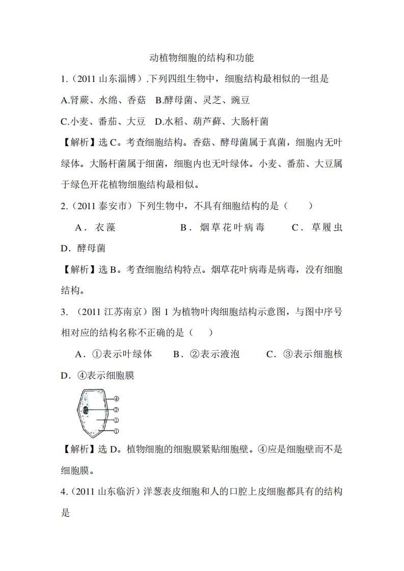 七年级生物动植物细胞的结构和功能检测题