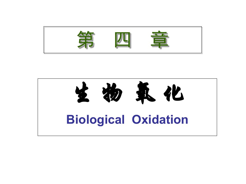 第四章生物氧化课件