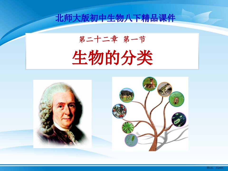 《生物的分类》教学课件