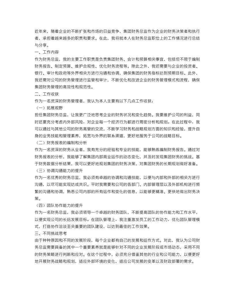 集团财务总监工作总结