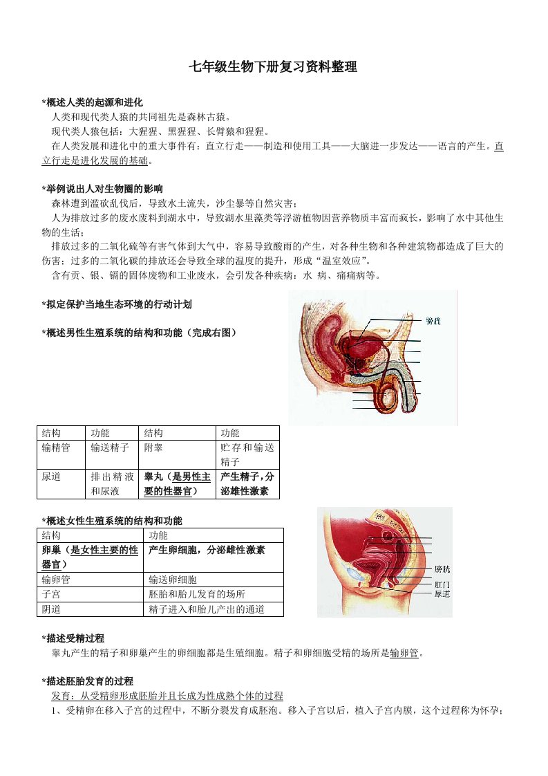 较好七年级生物下册复习资料整理