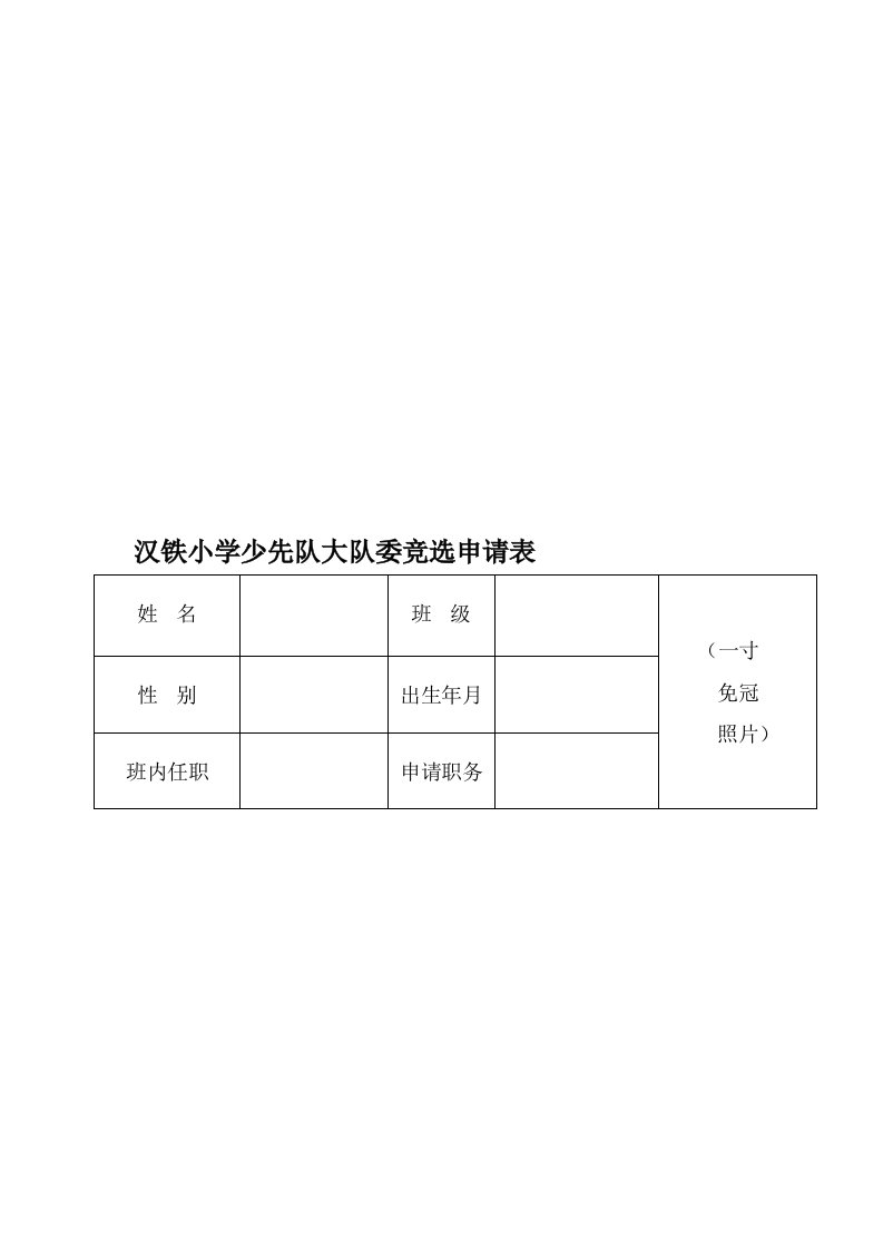 少先队大队委竞选申请表