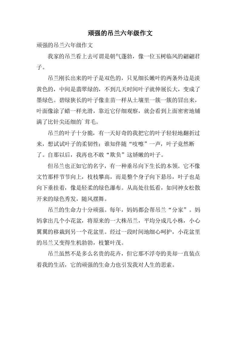 顽强的吊兰六年级作文