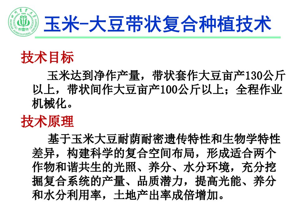 玉米大豆带状复合种植技术简介