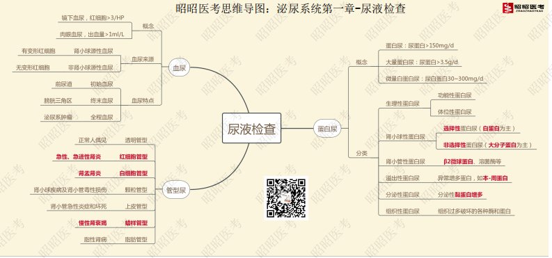 泌尿系统思维导图