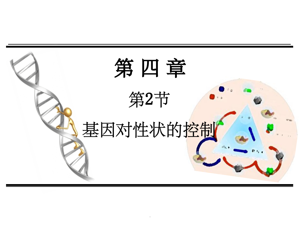 基因对性状的控制课件62727ppt课件