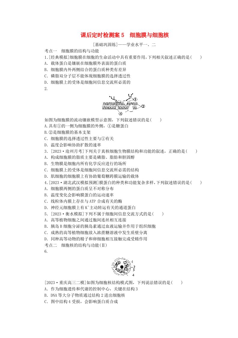 2024版新教材高考生物全程一轮总复习课后定时检测案5细胞膜与细胞核