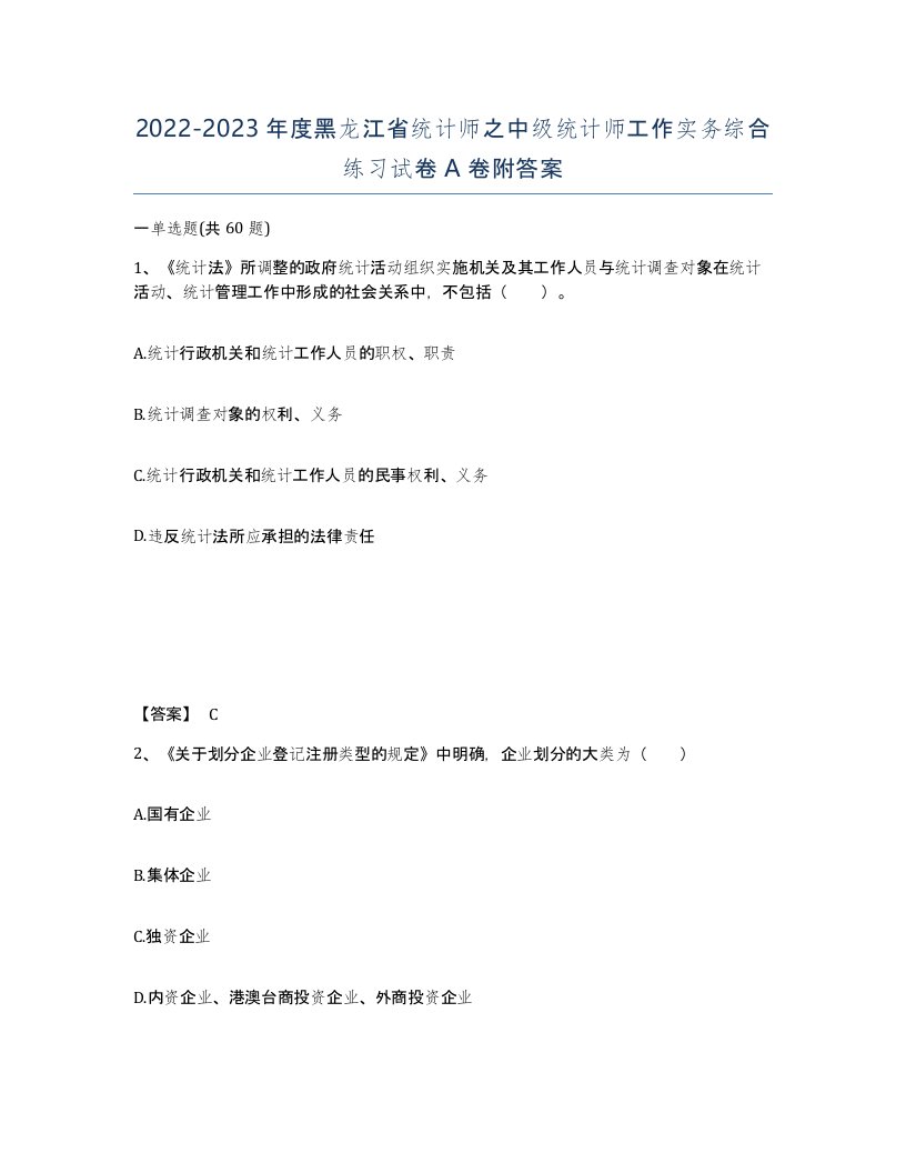 2022-2023年度黑龙江省统计师之中级统计师工作实务综合练习试卷A卷附答案