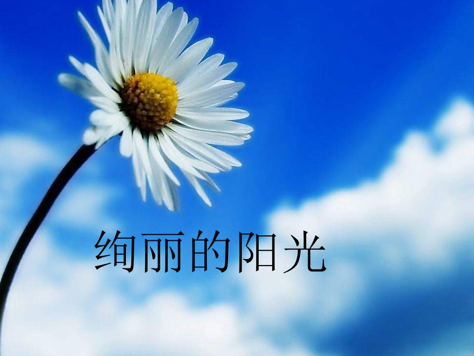 湘教版美术八年级上册第八课绚丽的阳光课件2