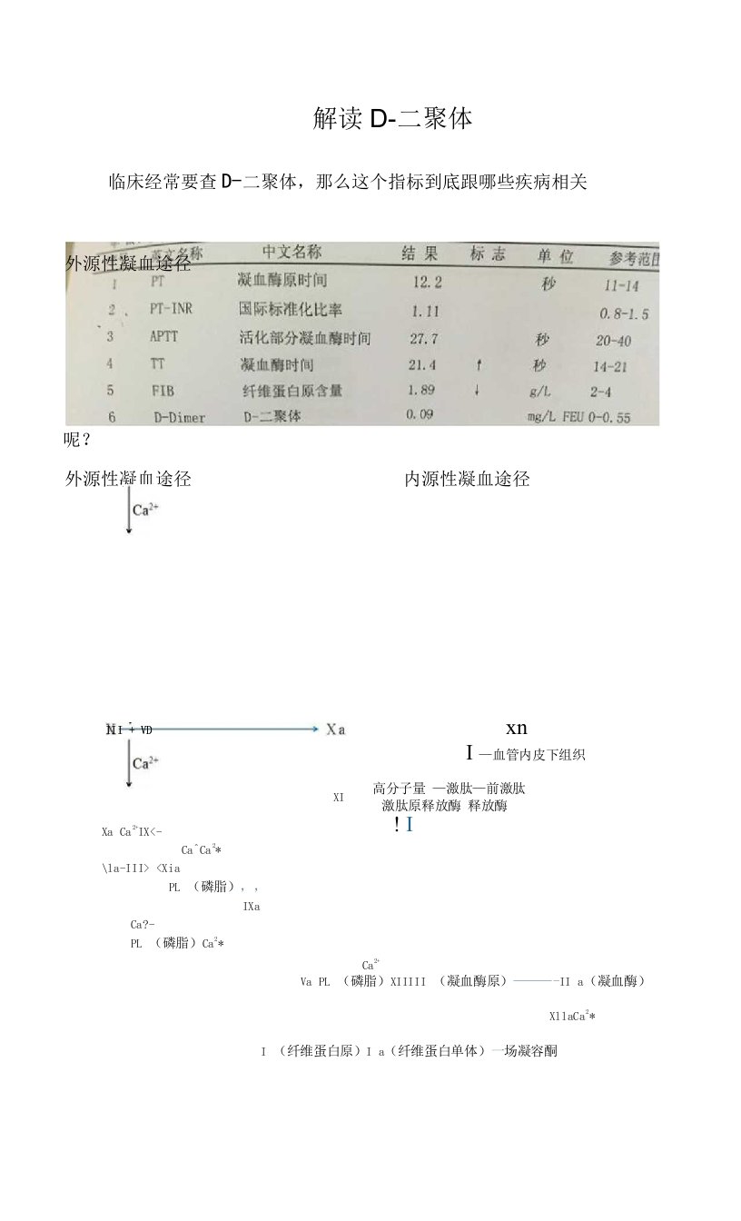 解读D-二聚体