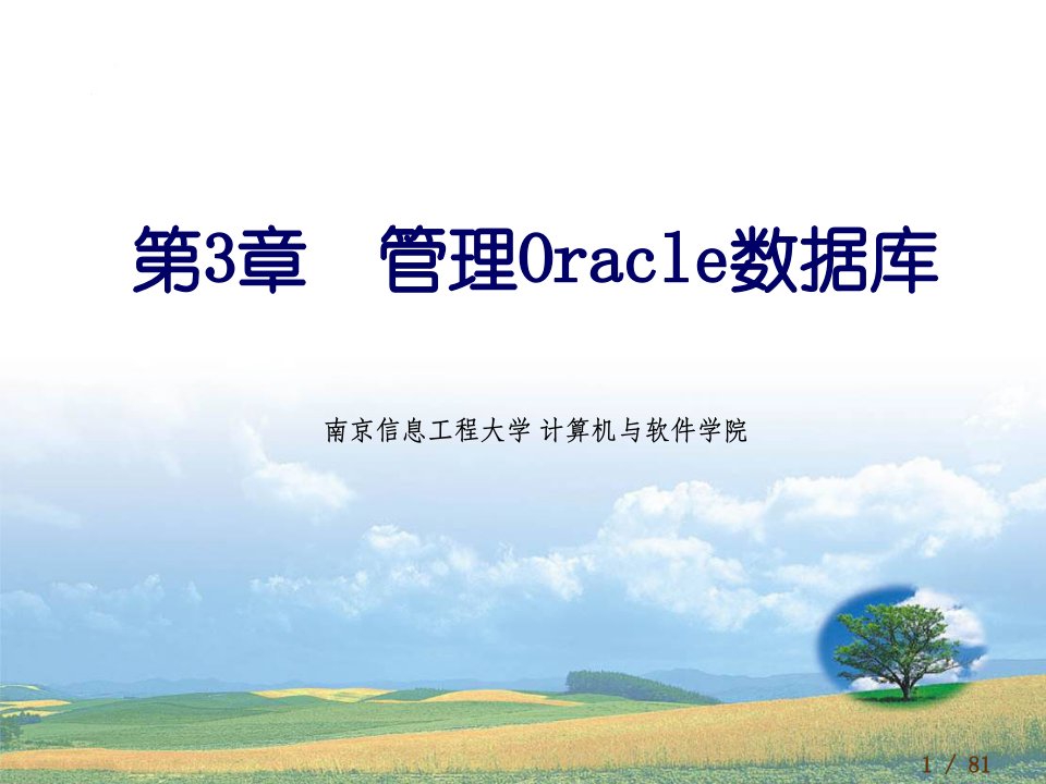 管理Oracle数据库