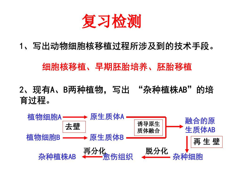 动物细胞融合和单克隆抗体17中