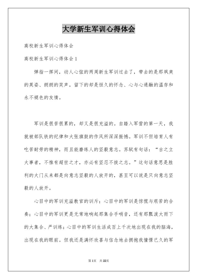 大学新生军训心得体会例文9