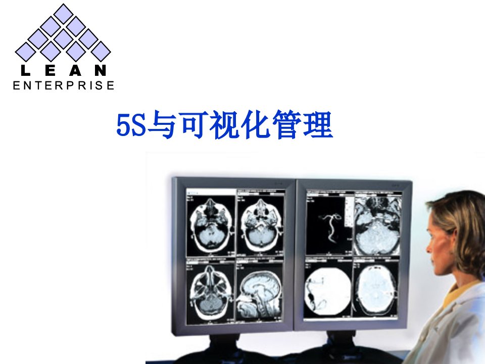 5S与可视化管理培训课件