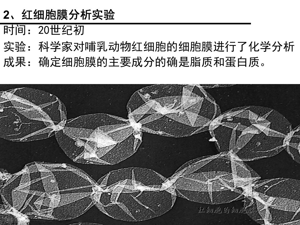 医学专题一轮复习细胞膜流动镶嵌模型