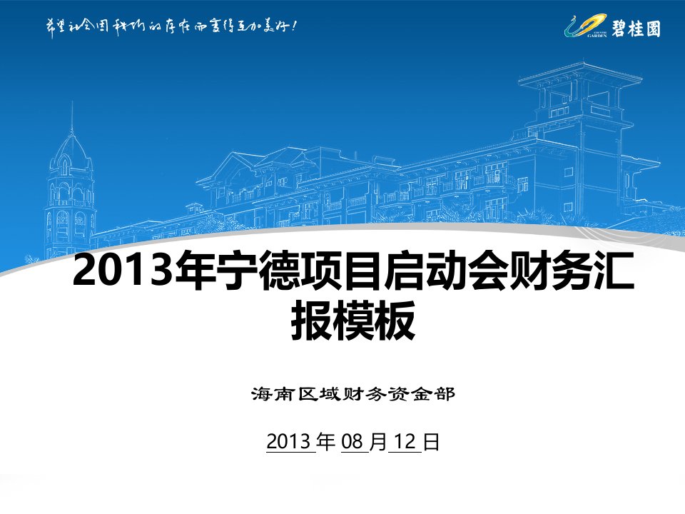 海南宁德项目启动会财务汇报模板