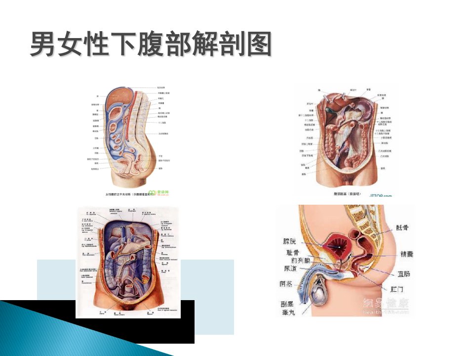 放射性肠炎ppt课件