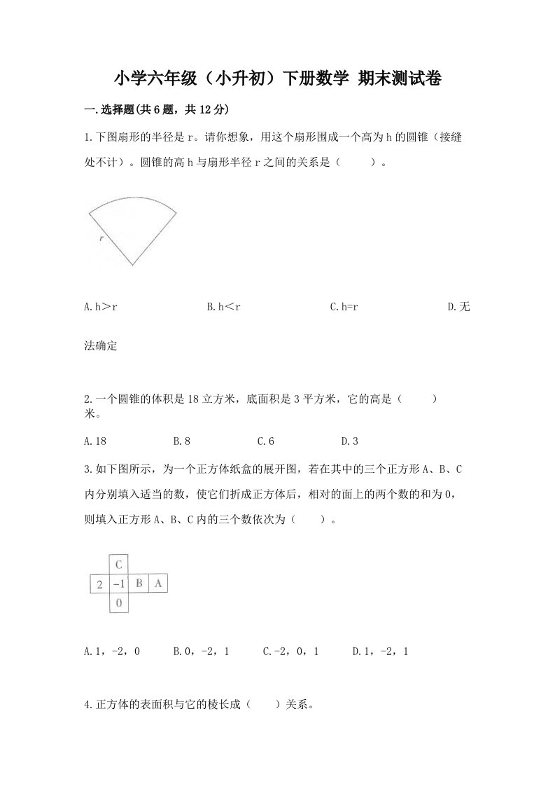 小学六年级（小升初）下册数学