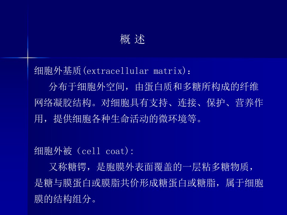 第七章细胞外基质和细胞外被