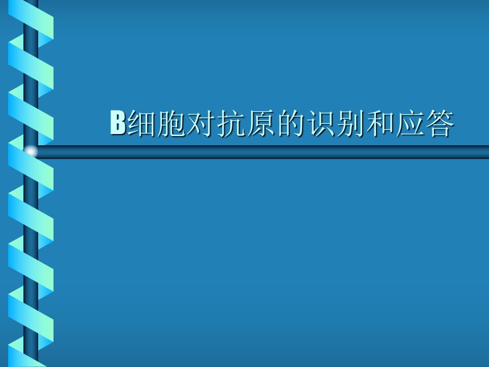 B淋巴细胞对抗原的识别及应答