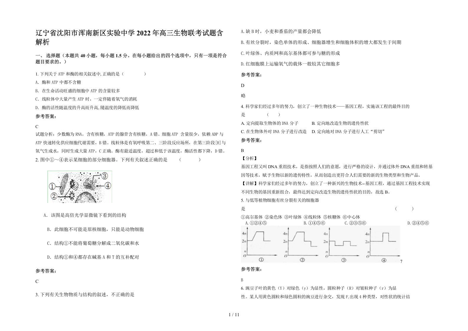 辽宁省沈阳市浑南新区实验中学2022年高三生物联考试题含解析