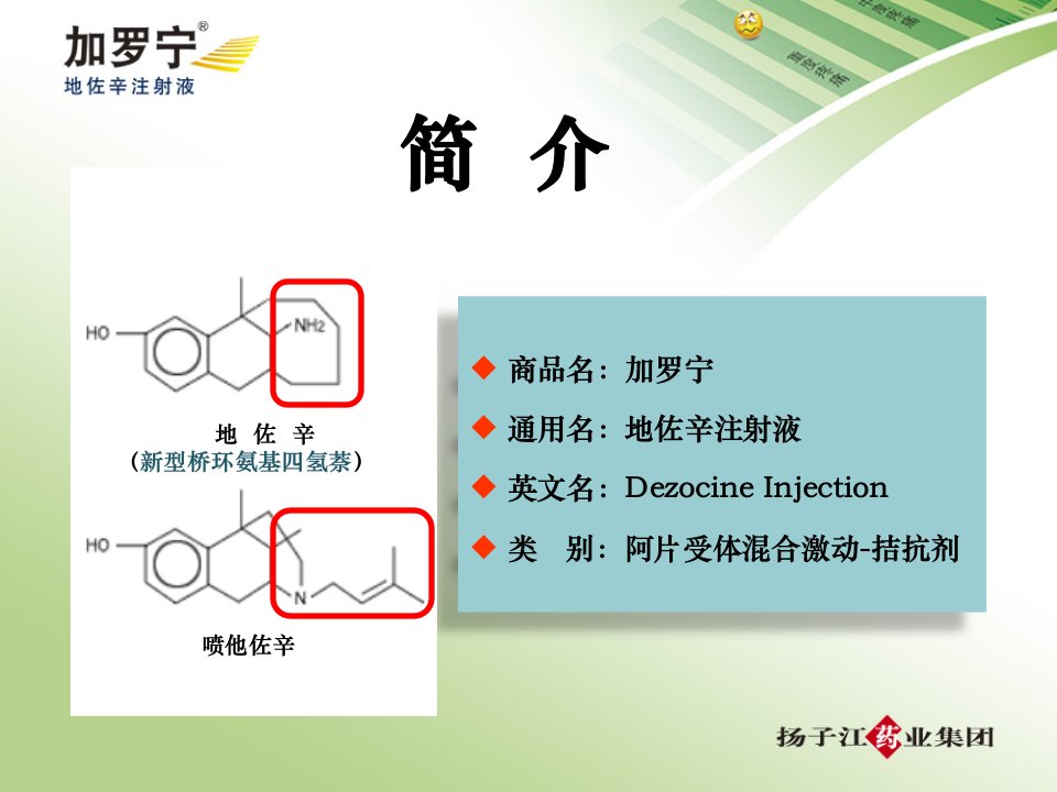 加罗宁地佐辛注射液