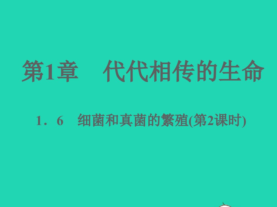 2022七年级科学下册第1章代代相传的生命1.6细菌和真菌的繁殖第2课时习题课件新版浙教版