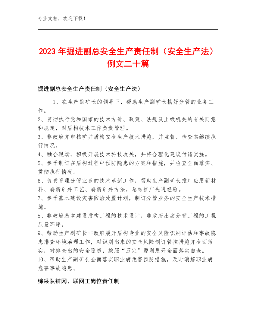 2023年掘进副总安全生产责任制（安全生产法）例文二十篇