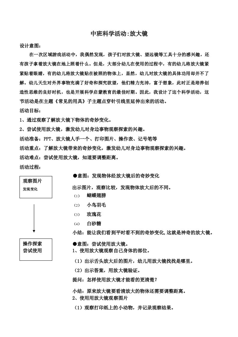 幼儿中班科学放大镜里的秘密教案