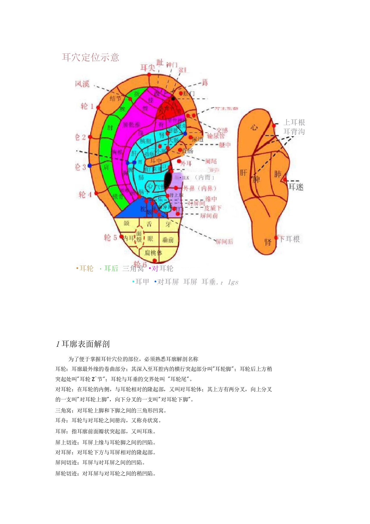 耳穴位置及主治(介绍)