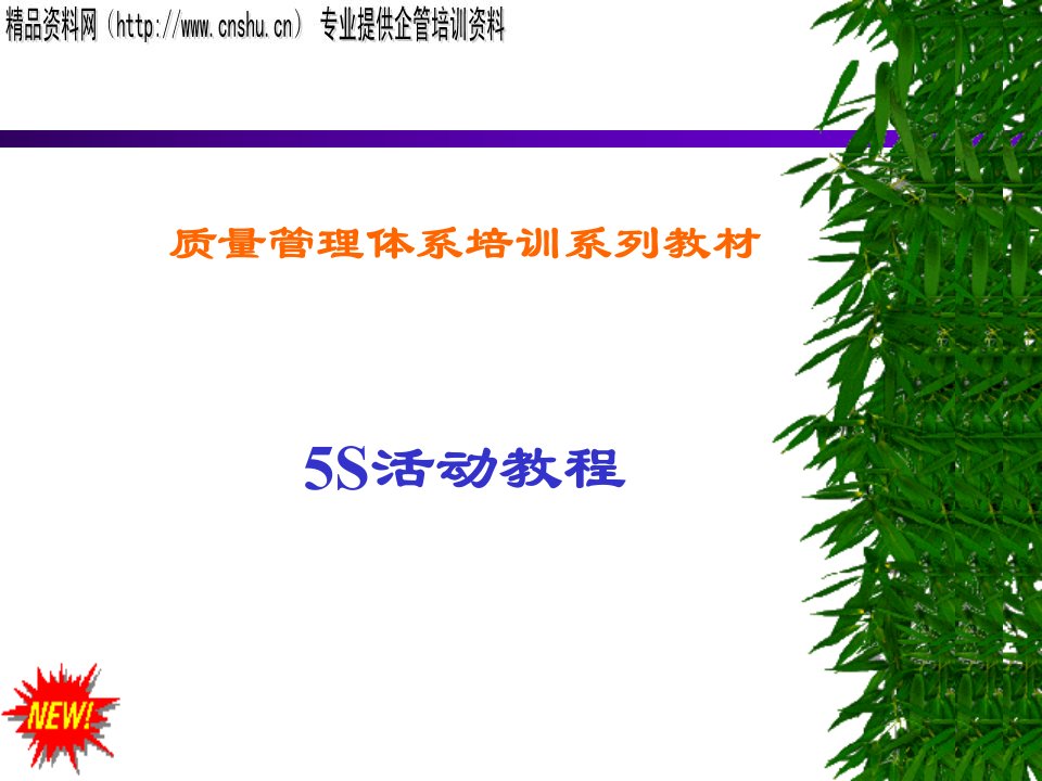 5S活动的推行原则与实施技巧