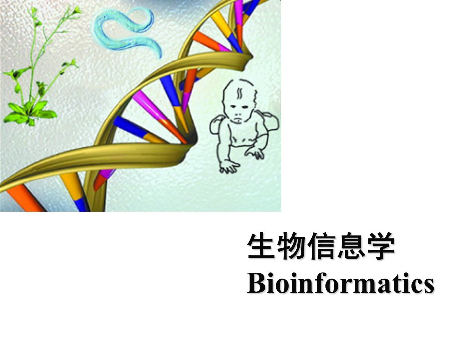 第一章生物信息学的生物学基础