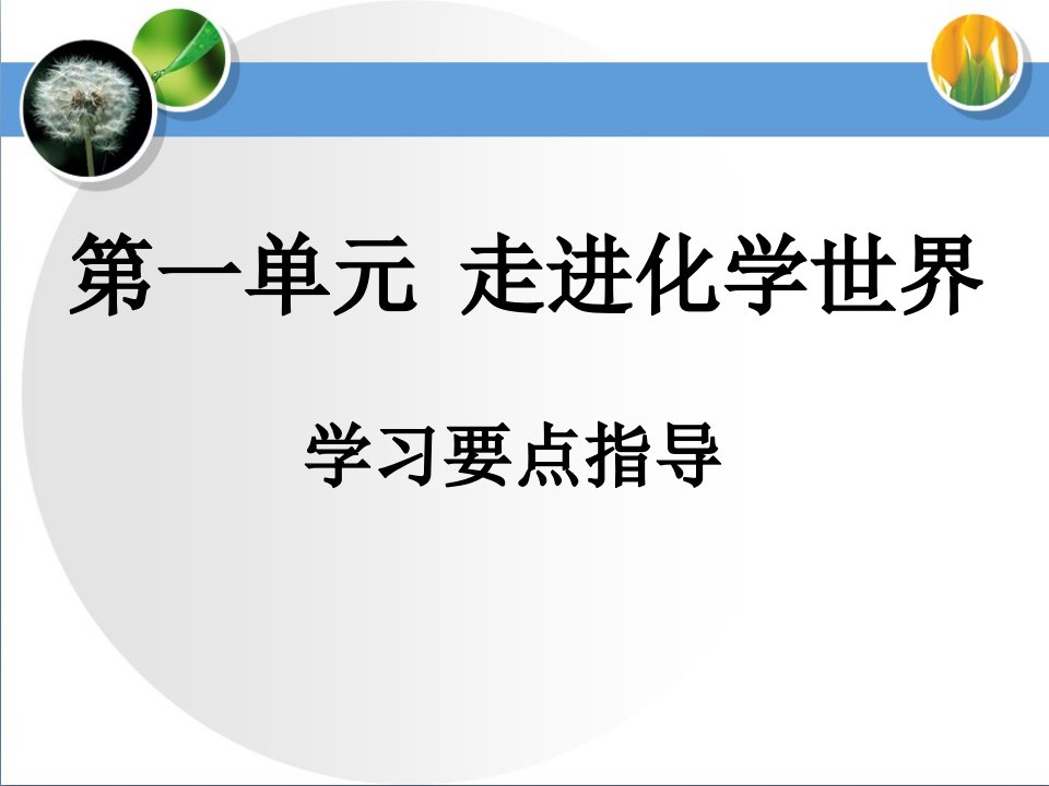 《走进化学世界》学习要点指导课件