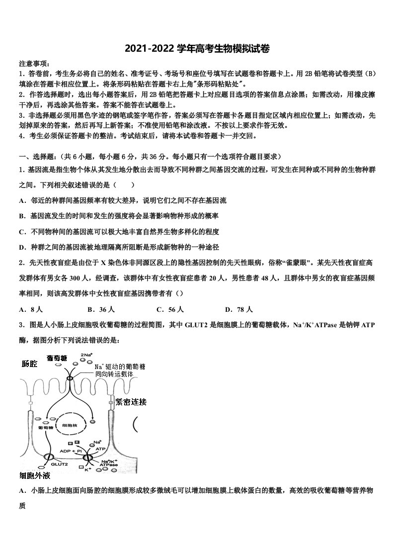 上海市曹杨二中2021-2022学年高三适应性调研考试生物试题含解析