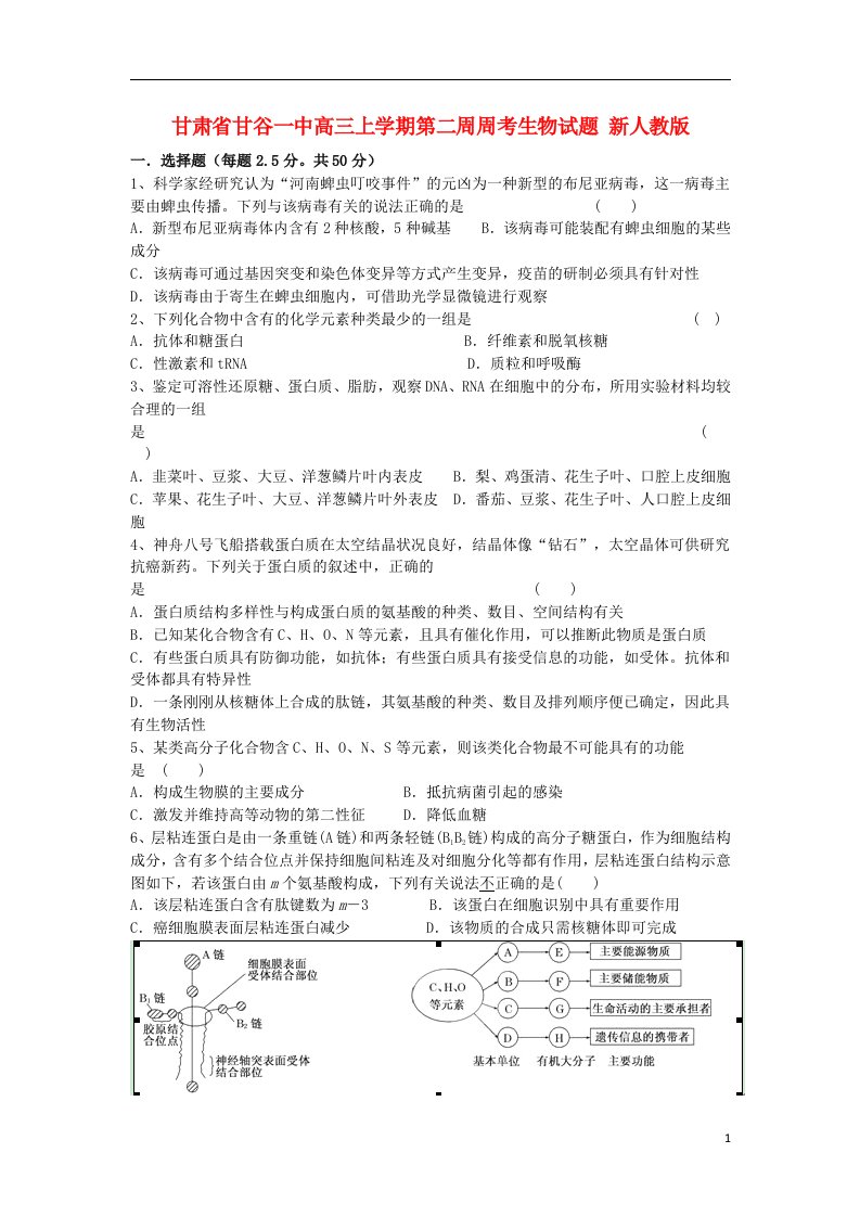 甘肃省高三上学期第二周周考生物试题