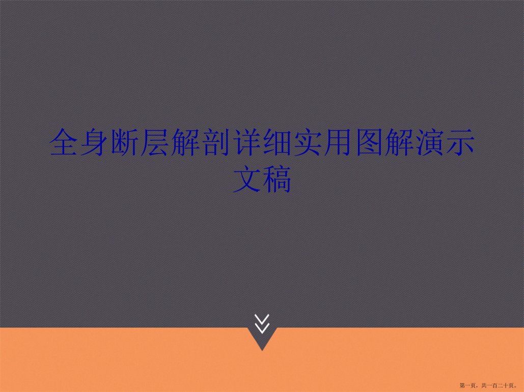 全身断层解剖详细实用图解演示文稿